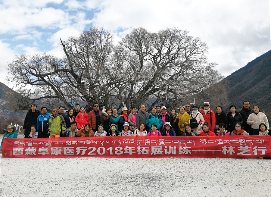 西藏阜康醫(yī)療2018年拓展訓(xùn)練——增強(qiáng)團(tuán)隊(duì)凝聚力、提升團(tuán)隊(duì)協(xié)作能力，更好地為患者服務(wù)