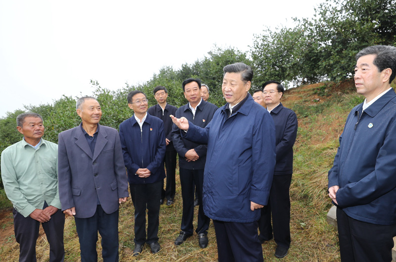 　　9月16日至18日，中共中央總書記、國家主席、中央軍委主席習近平在河南考察。這是17日上午，習近平來到信陽市光山縣槐店鄉(xiāng)司馬光油茶園，同正在勞作的村民和管理人員交流。 新華社記者 鞠鵬 攝