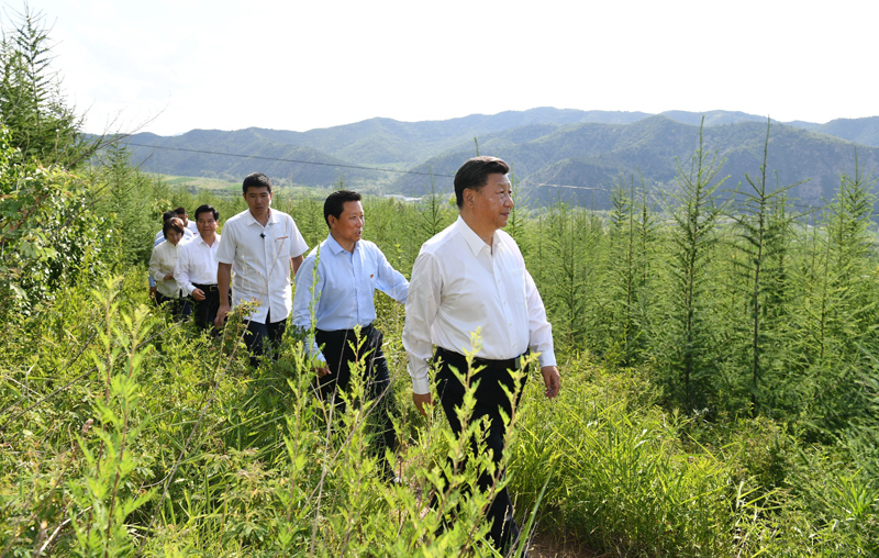 7月15日至16日，中共中央總書記、國家主席、中央軍委主席習(xí)近平在內(nèi)蒙古考察并指導(dǎo)開展“不忘初心、牢記使命”主題教育。這是15日下午，習(xí)近平在赤峰市喀喇沁旗馬鞍山林場林區(qū)，沿著崎嶇的護(hù)林小道察看林木長勢。